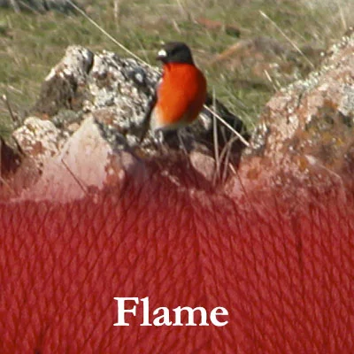 COLinsp_flame2.jpg