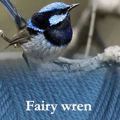 COLinsp_fairywren2.jpg