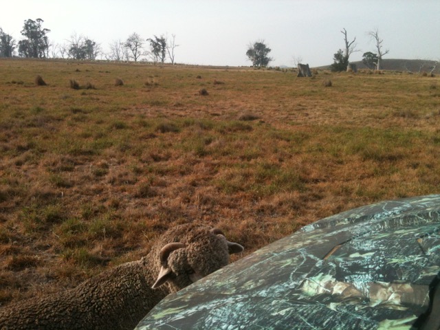 Leo with the Polaris Jan 2016.jpg