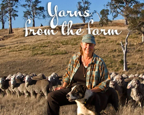 Share in the moments of joy and sorrow, frustration and hilarity as I learn to grow the finest wool in the world in the most sustainable way I can.   Read the latest post →