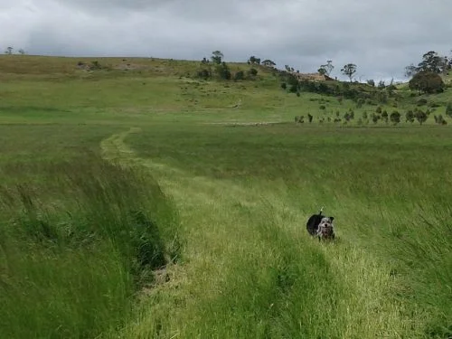 long-and-winding-cropped