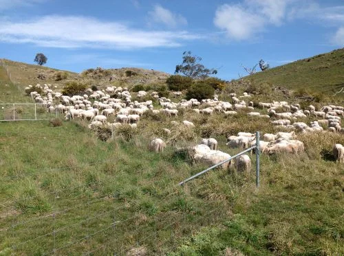 P6: Heading up into Waterfall Gully, just after the video V1 was taken.