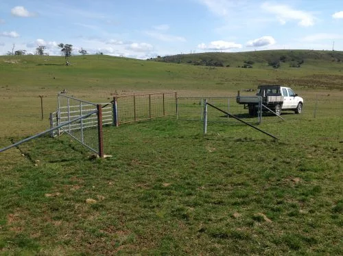 P7: The gates at the top of Waterfall Gully and Eagle Ridge configured to make a loop out of the two areas and the lucerne.