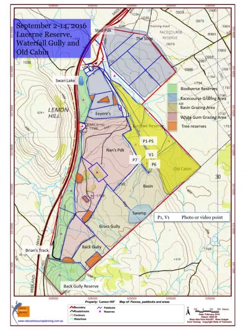 recovering-from-shearing