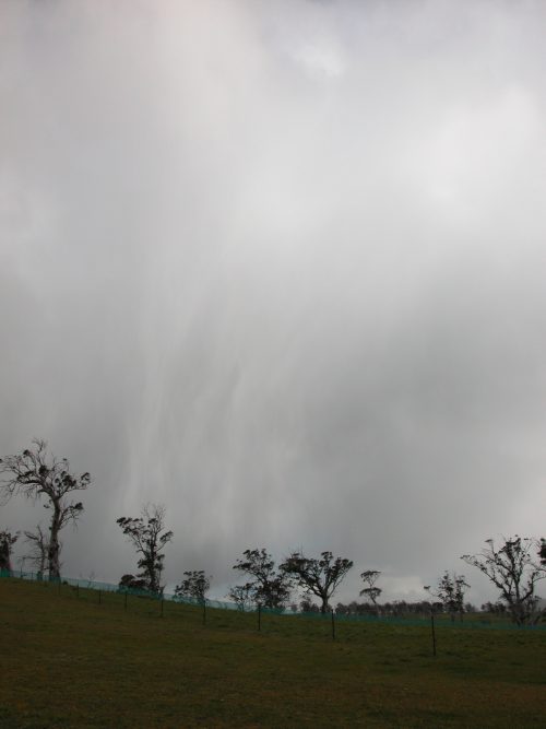 Storms clouds up top. The sky has looked like this most days in October!