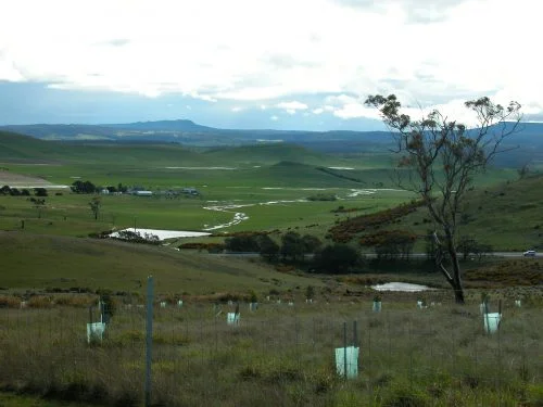 P3: On the southern side of the property, above the Highway Reserve, the view across the valley to Table Mountain. This area and the one in the previous shot are the headwaters of the Jordan River, which flooded over the main highway south of here a few days later.
