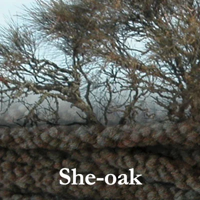 COLinsp_she-oak.jpg