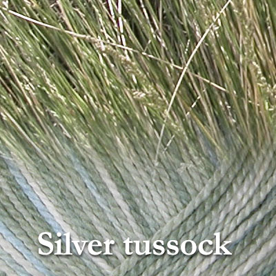COLinsp_silvertussock.jpg