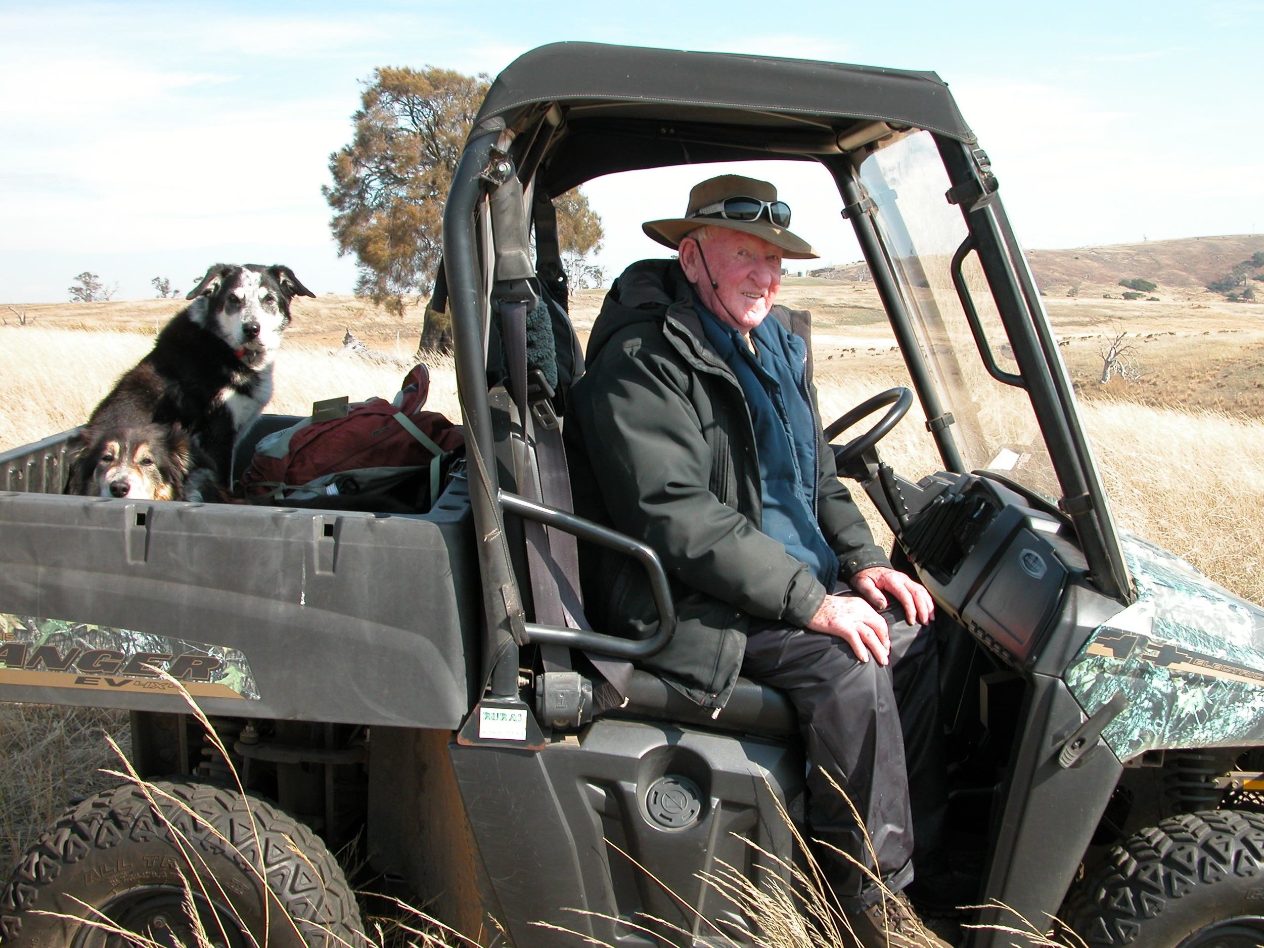 Retired stockman Davey went around the ewes and lambs with me a couple of times. He was just as perplexed as I was about the ewe deaths.