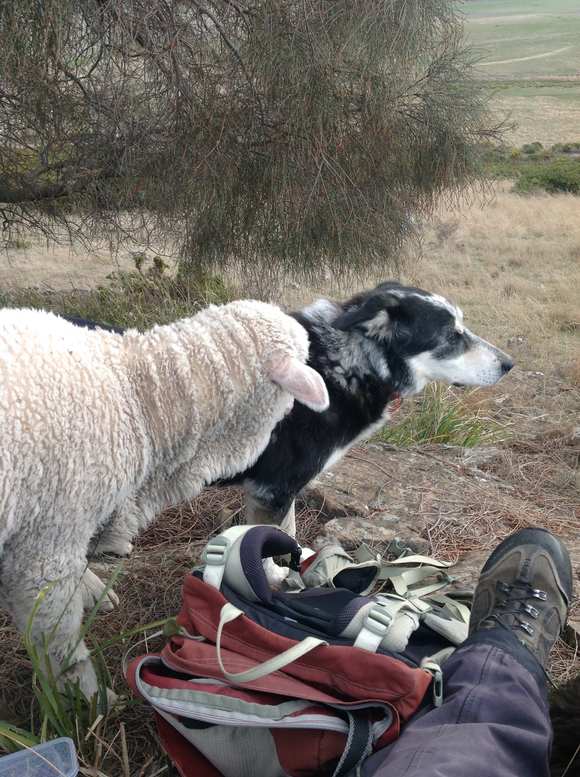 Kindergarden for Zac