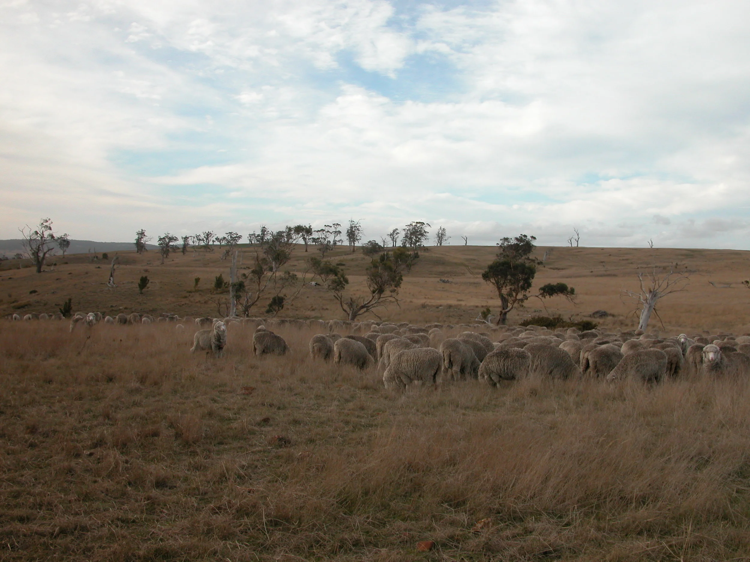 DSCN0046.JPG