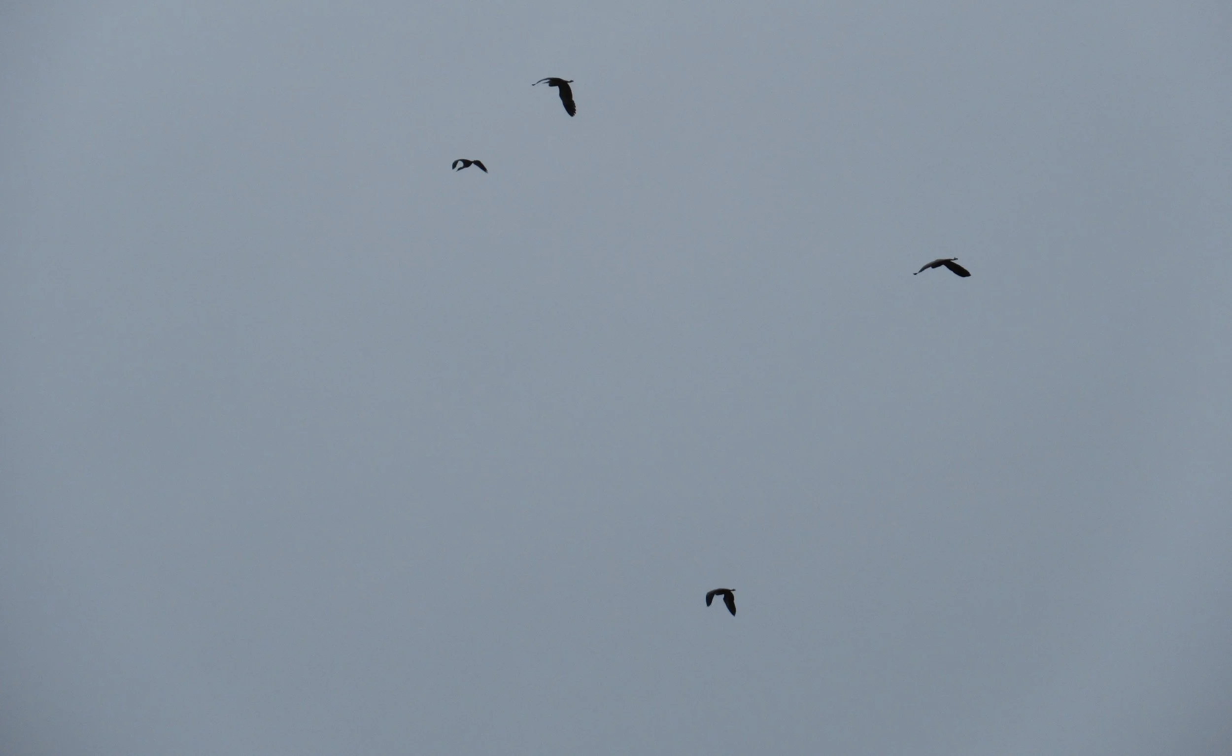 Through the Lens:  Taking a Summer Break from Writing