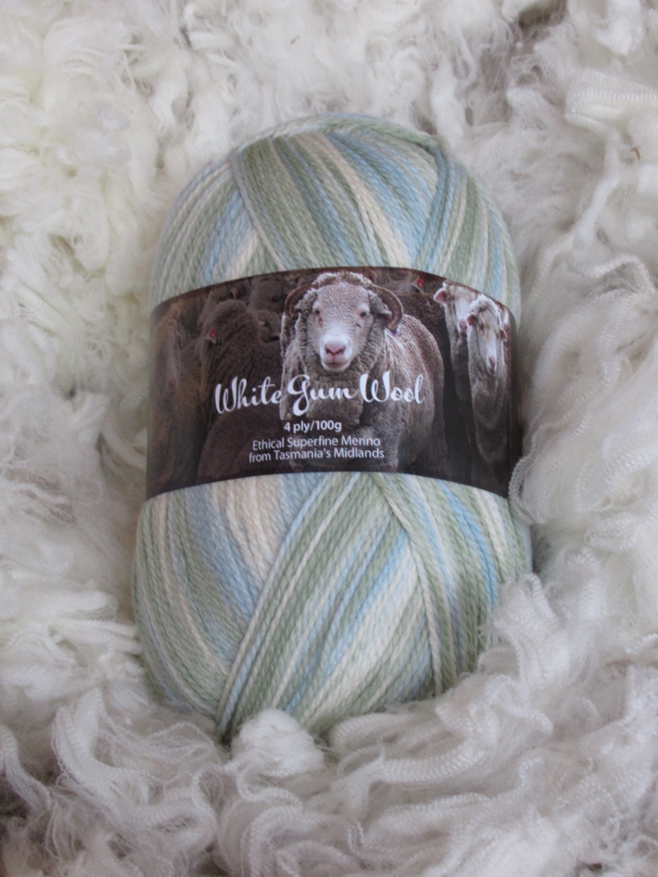 4 silver tussock.jpg