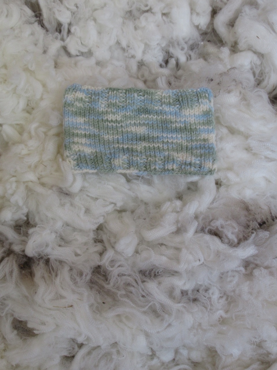 swatch 4 silver tussock.jpg