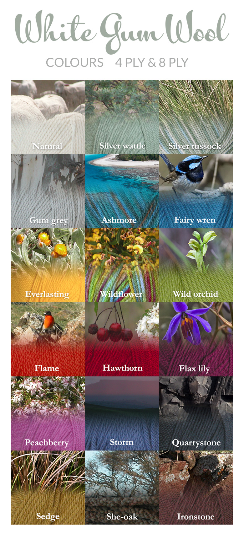 WGW-Colours-4ply8ply_2017.jpg