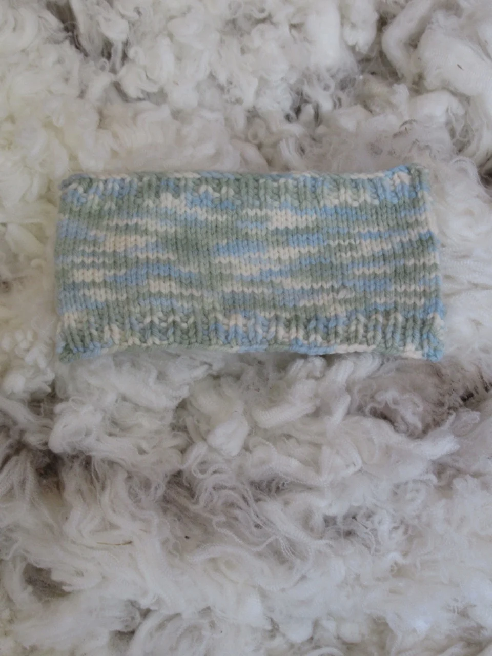 swatch 8 silver tussock.jpg