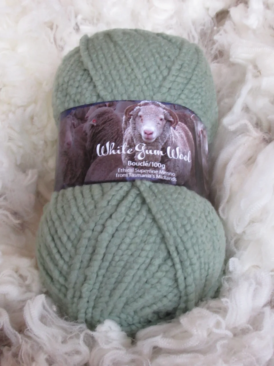 boucle silver wattle.jpg