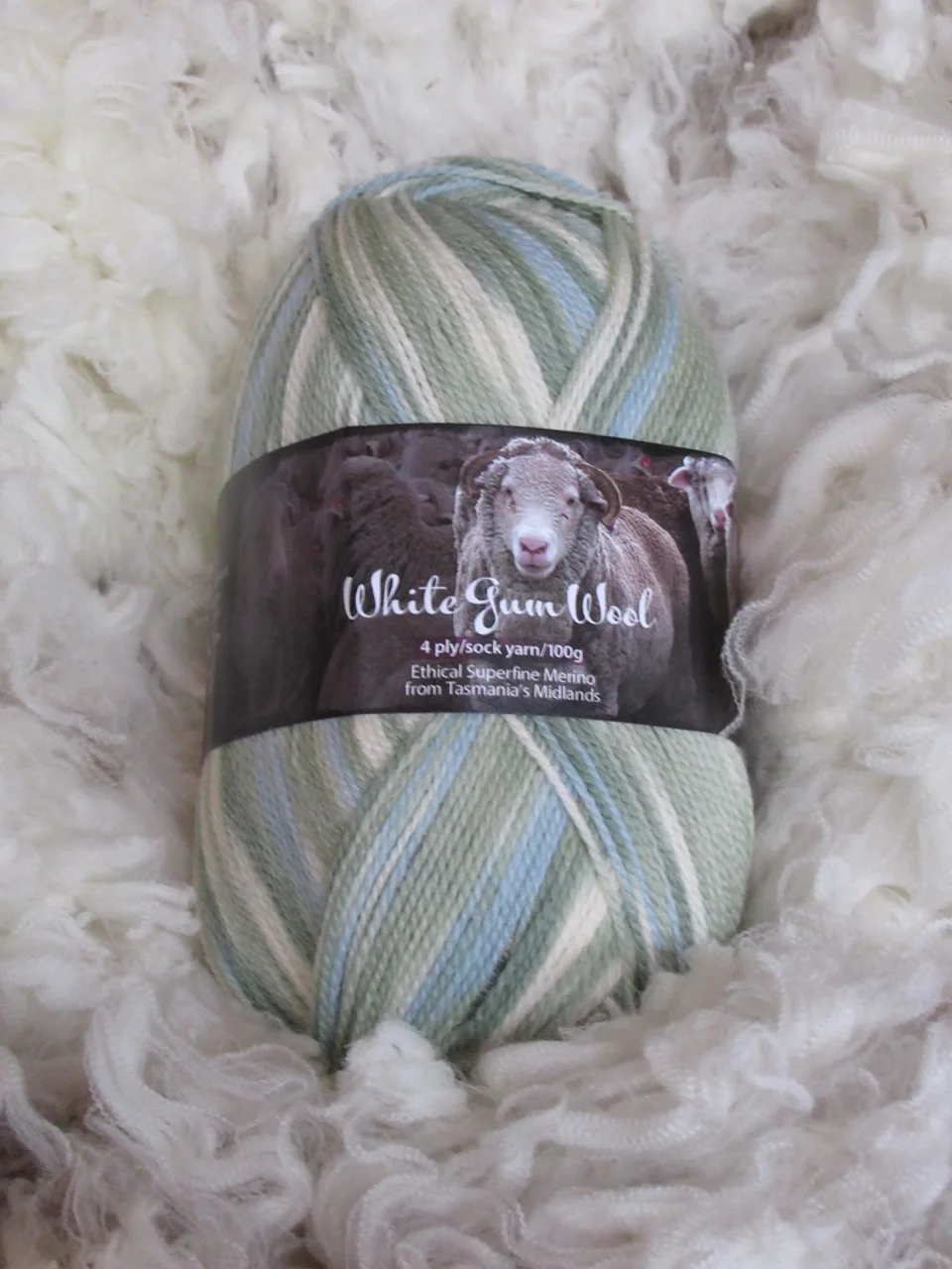 sock silver tussock.jpg