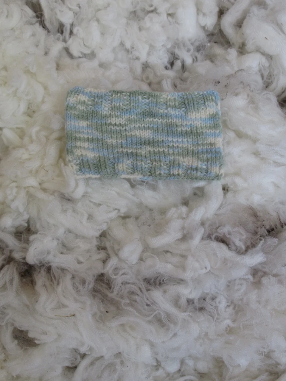swatch 4 silver tussock.jpg