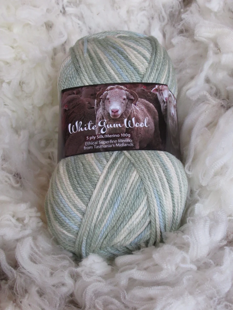 silk silver tussock.jpg