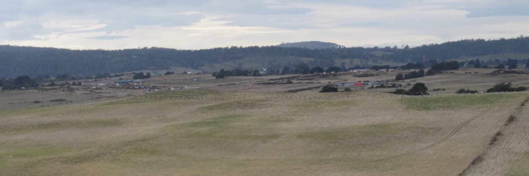 If you look closely you can see the lines of tree guards on the nearby hill.