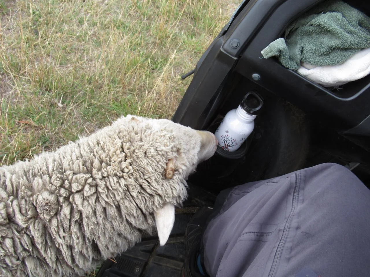 Zac with Polaris.jpg