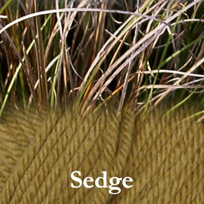 COLinsp_sedge.jpg