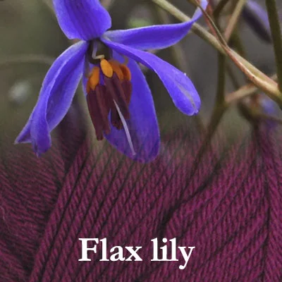 COLinsp_flaxlily2.jpg