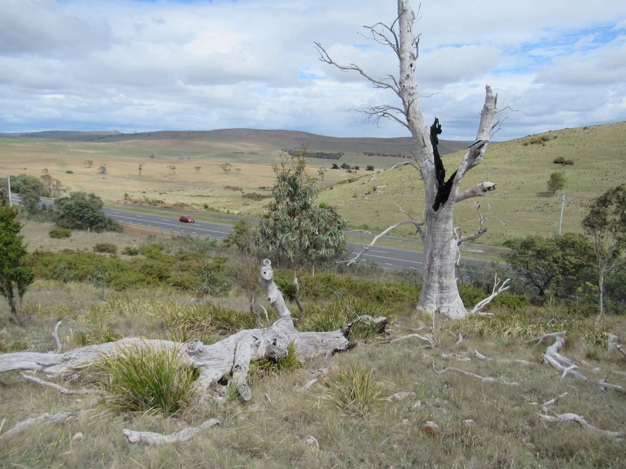 Looking across the valley toward the village of Jericho. Except in the foreground, there is very little stock feed in this picture.