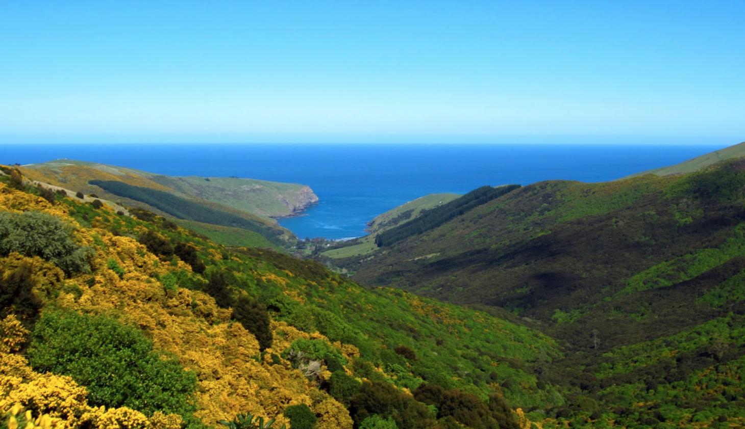 Screen Shot 2019-12-15 at 9.00.48 pm.png