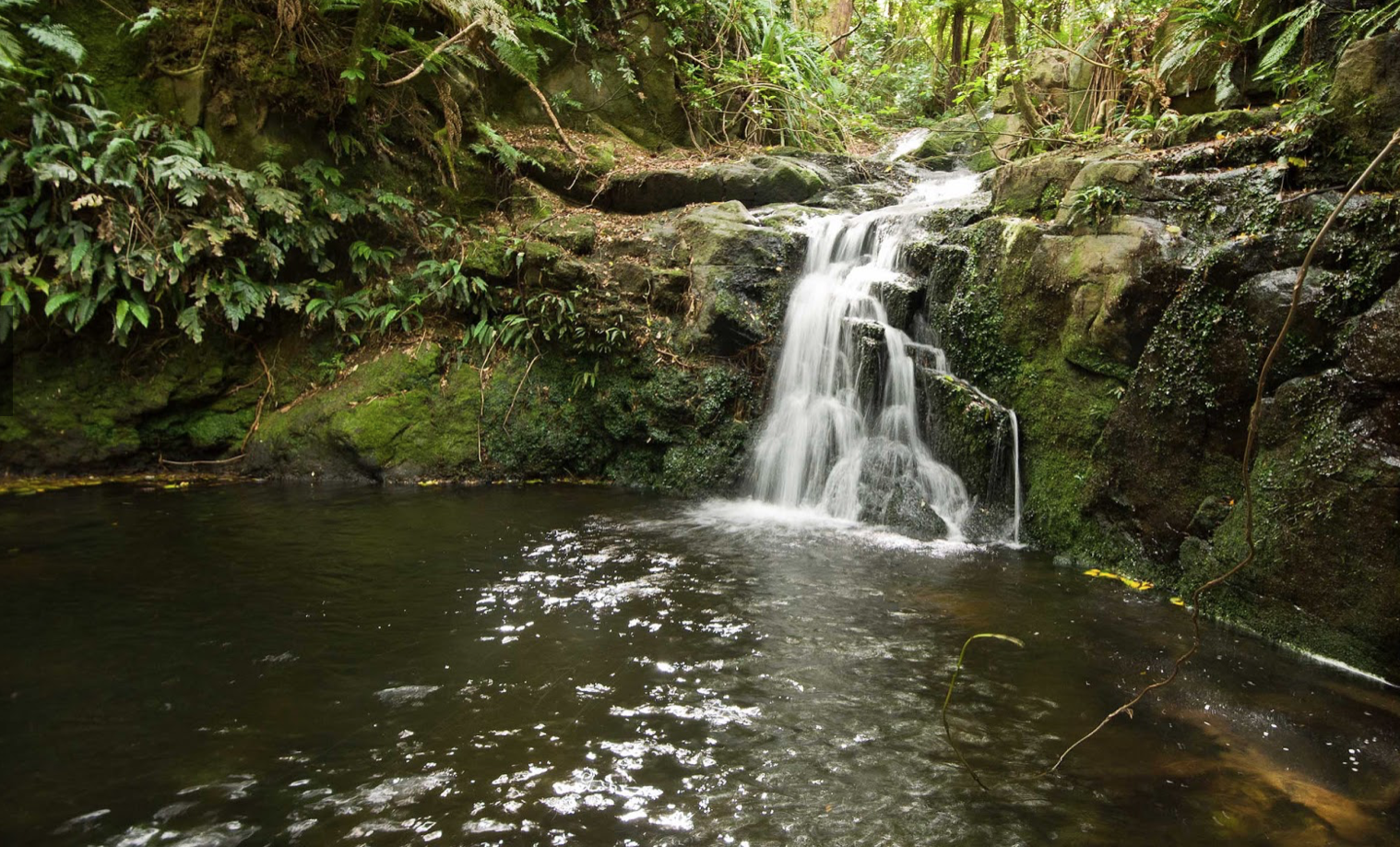 Hinewai Falls
