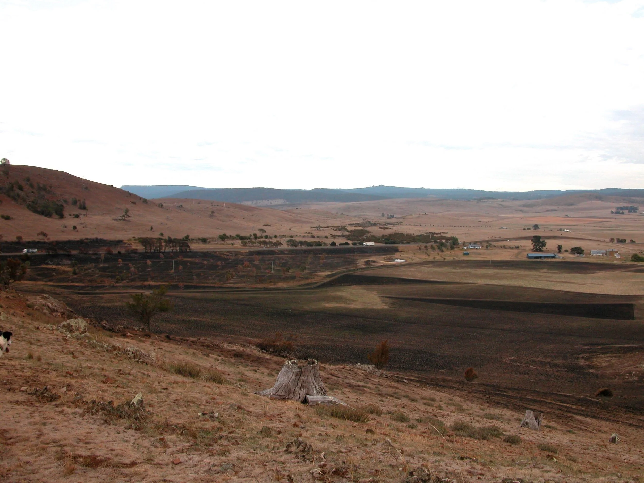 After the January 2016 fire. The dark triangles are tree reserves, which were scorched. The gum trees have since come back, but not the softer trees and shrubs. I have funding to replace them this coming winter.