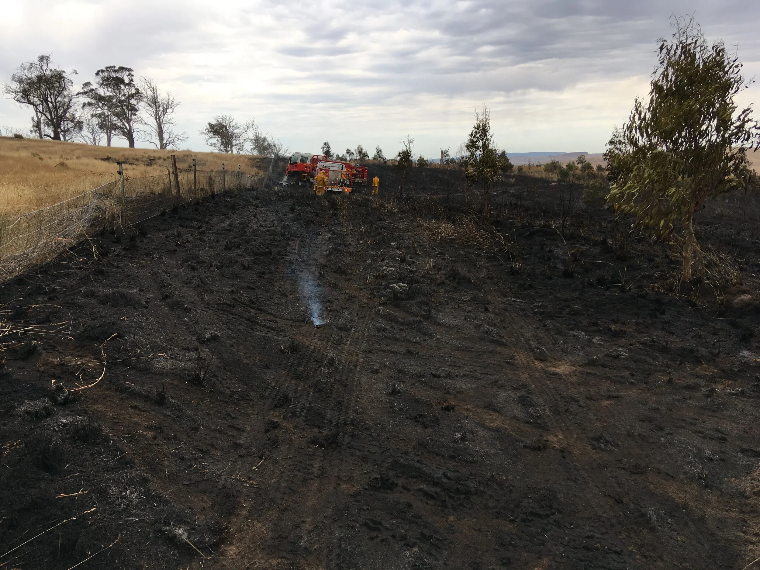 January 2019—this one started with a dry lightning strike. I was very lucky that the aircraft and local firefighters got in under control in a short time. It burned only a couple of acres, though sadly there were about 50 5-year old trees in the reserve where it started.