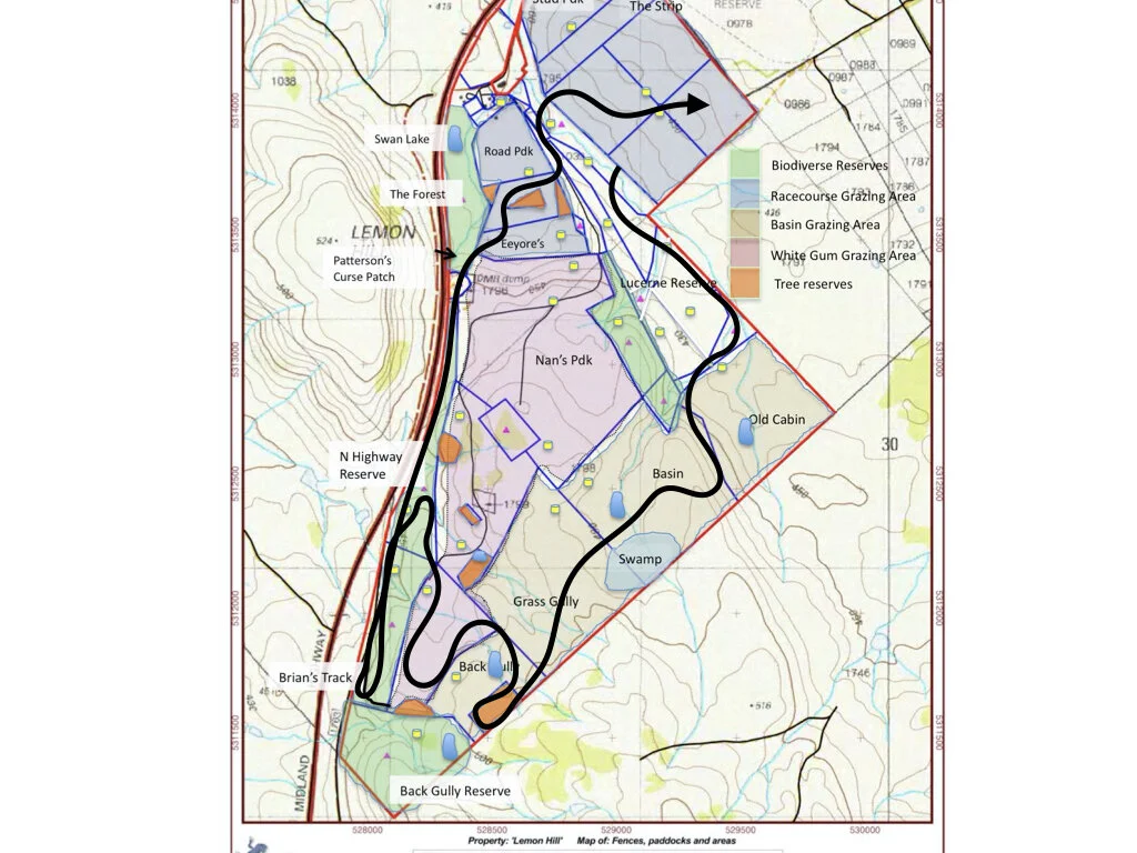 Stone Soup #1 10-12 January 2020.001.jpeg