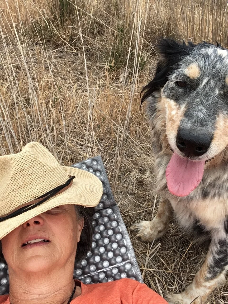 Pearl’s selfie when we sat down to rest after temporarily giving up trying to move the flock up the steep hill. We tried again after this, but finally gave up and went home for our own mid-day rest.