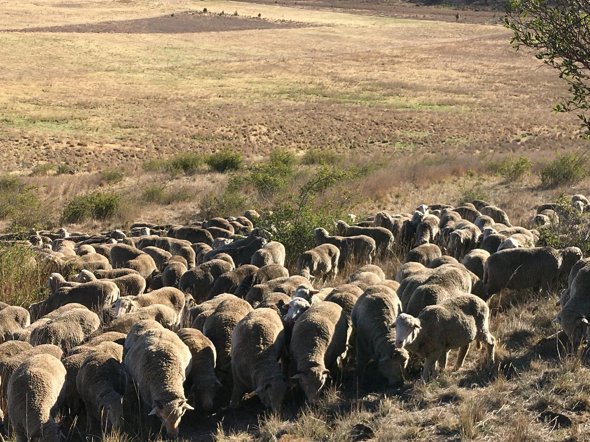 A sense of discovery