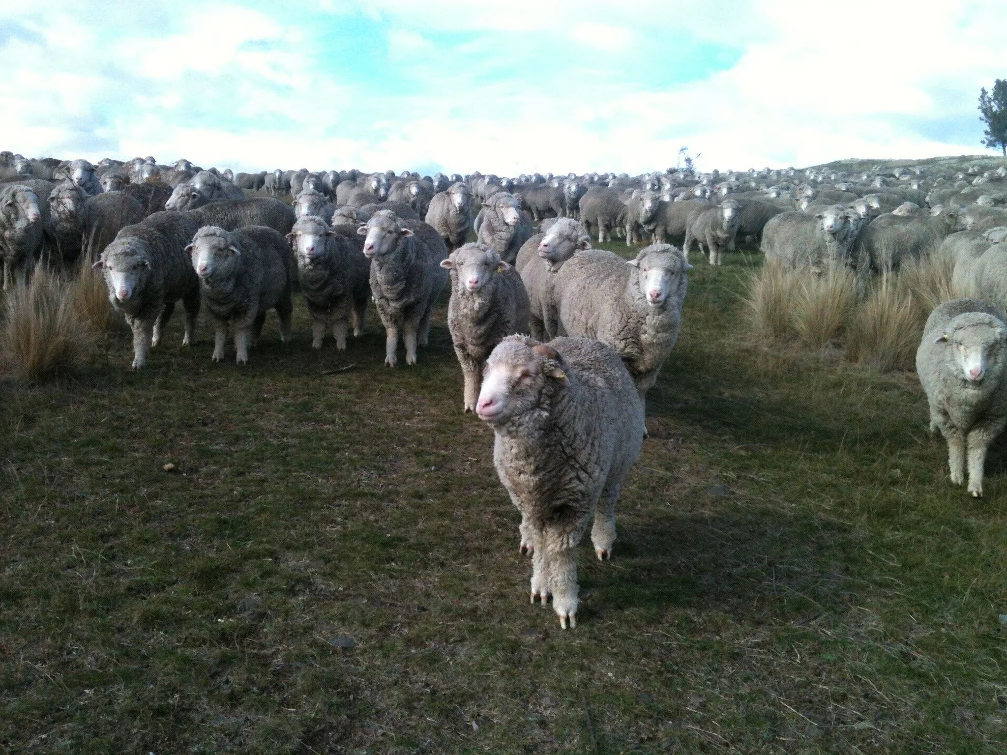 Elf, Vicki and Clara following me into the quarry in 2015.