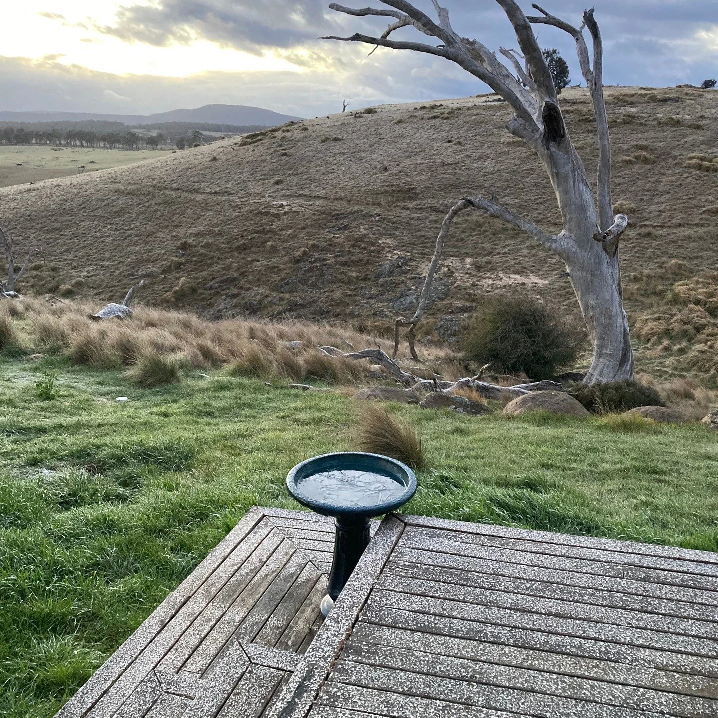 Minus 3 deg C, snow on the ground and ice in the bird bath. At the end of October (think late April in the northern hemisphere). Really?? Sheep will all be tucked up out of the wind, but brrrrr. #wgwshepherding #whitegumwool