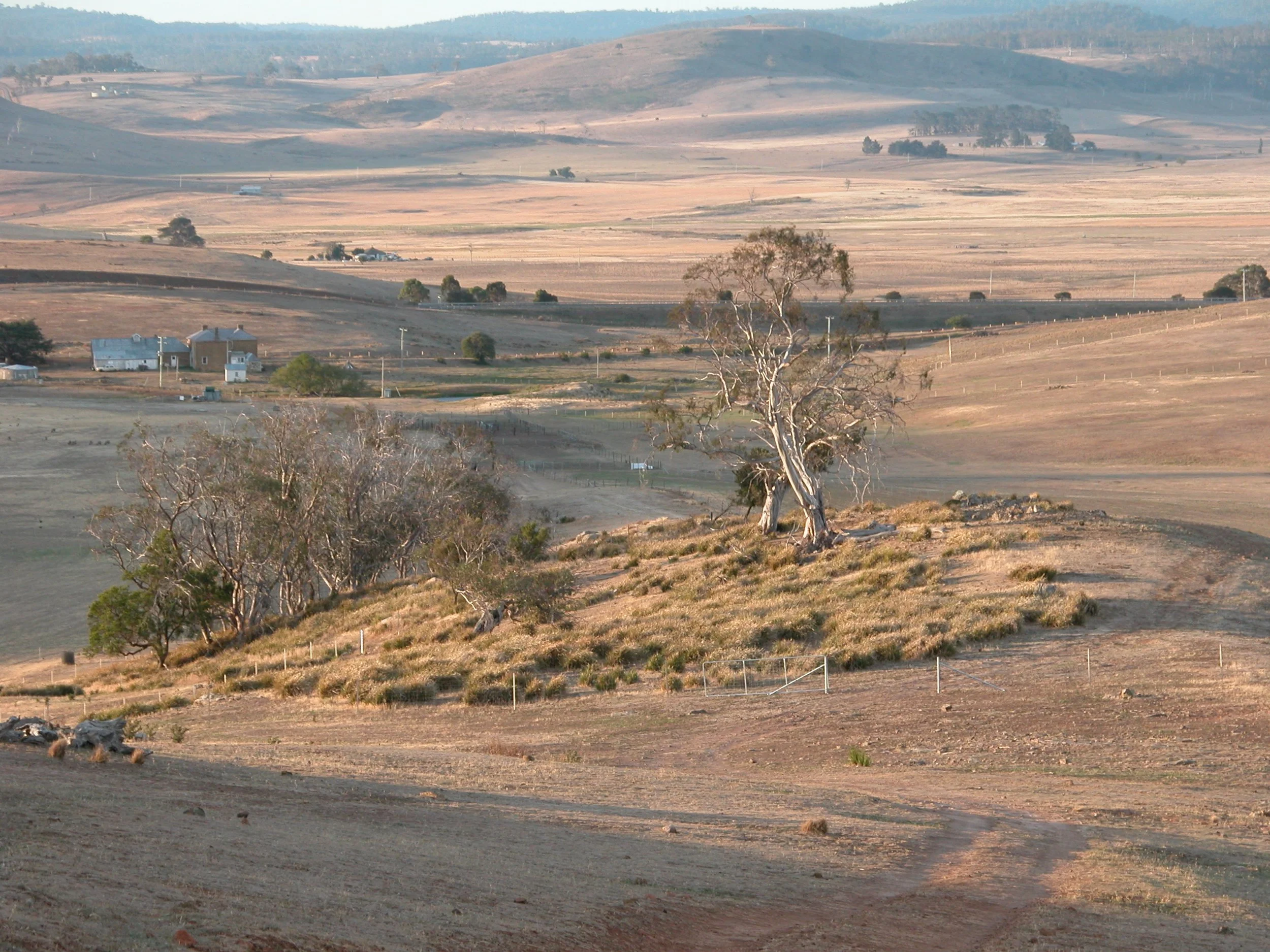 Above the long paddock 2007