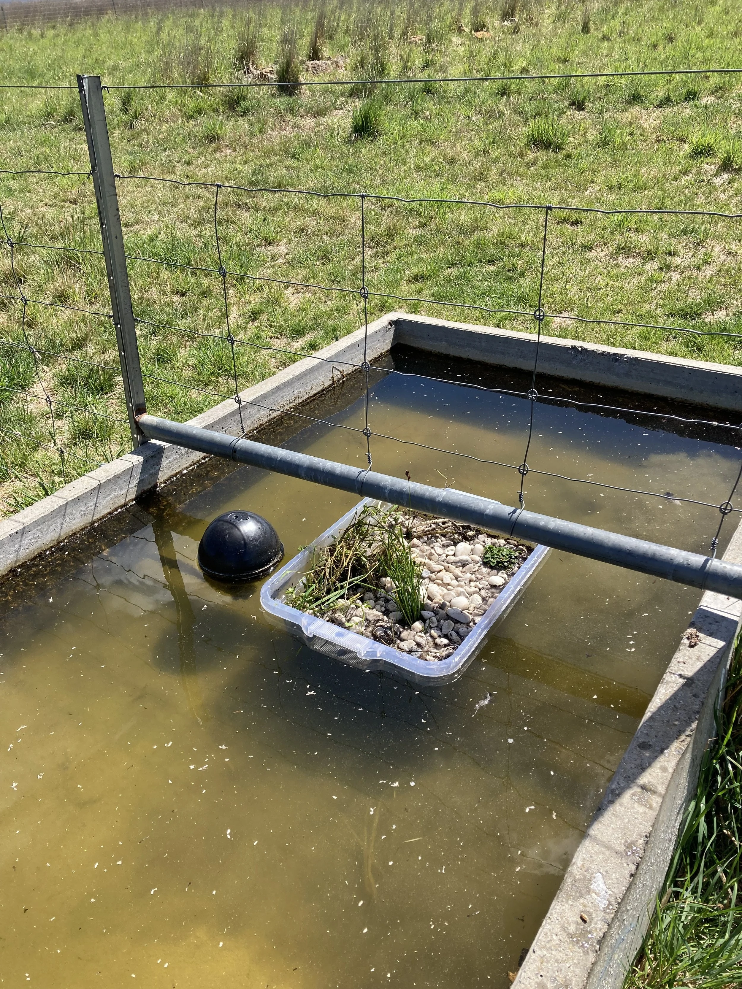 Recycled plastic tub version 2024