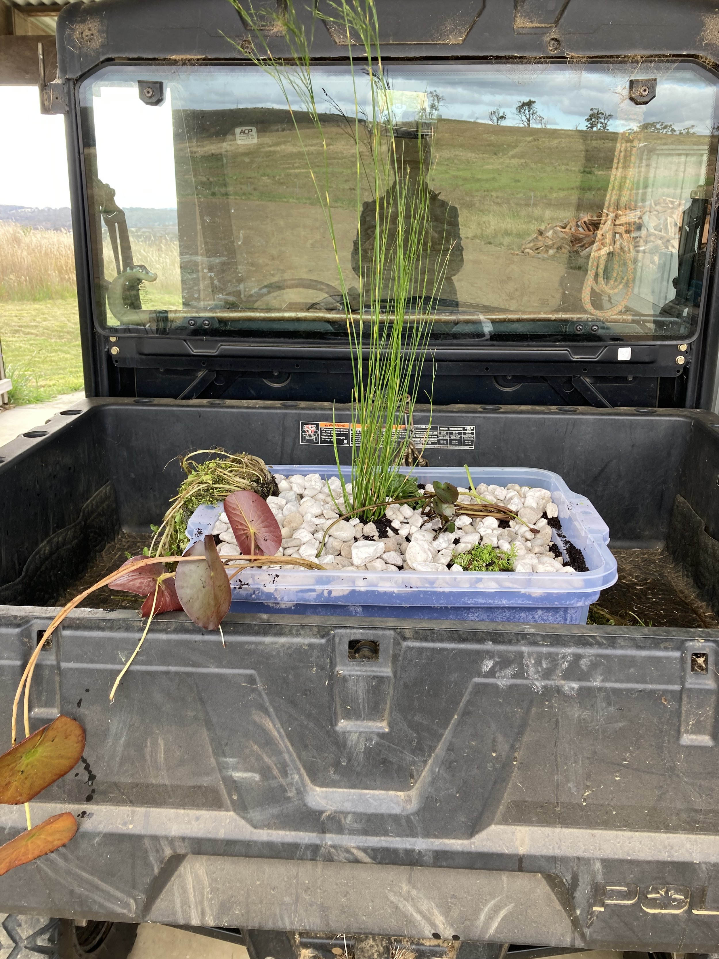 On its way to be submerged 2024