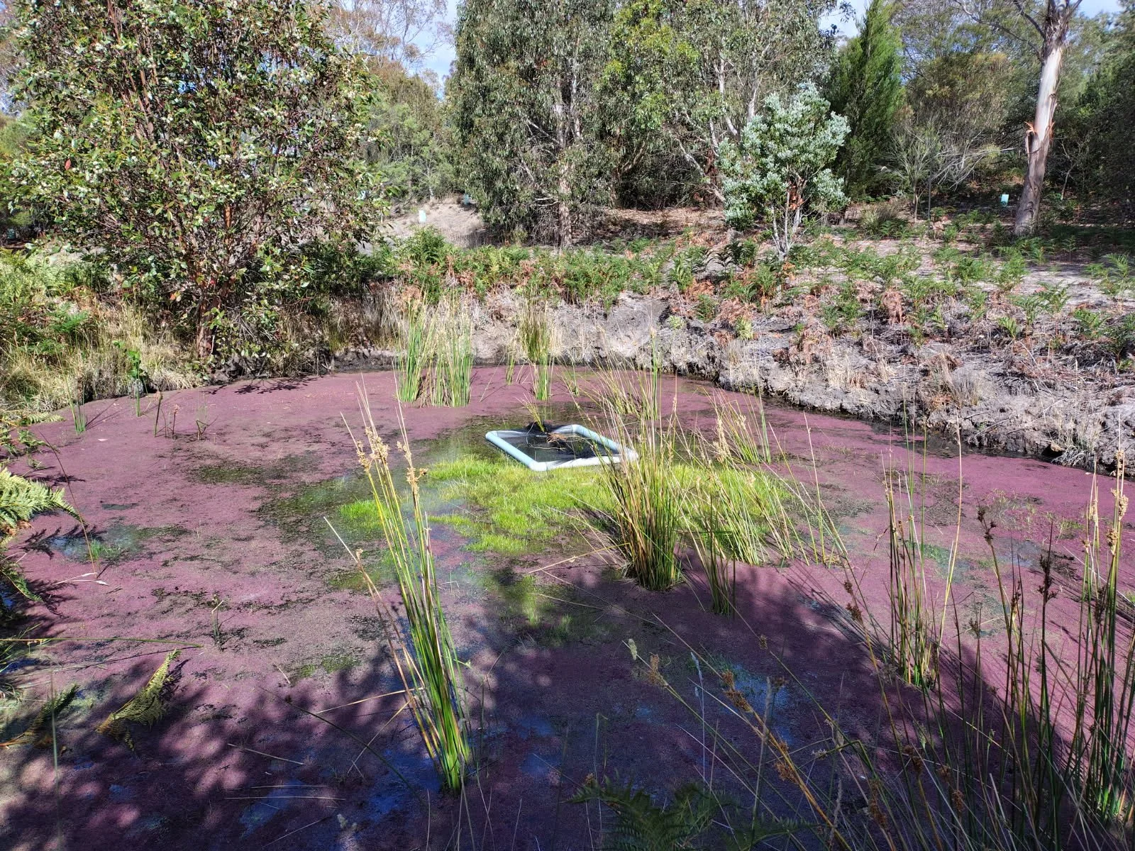 Large prototype for a friend's waterhole 2026