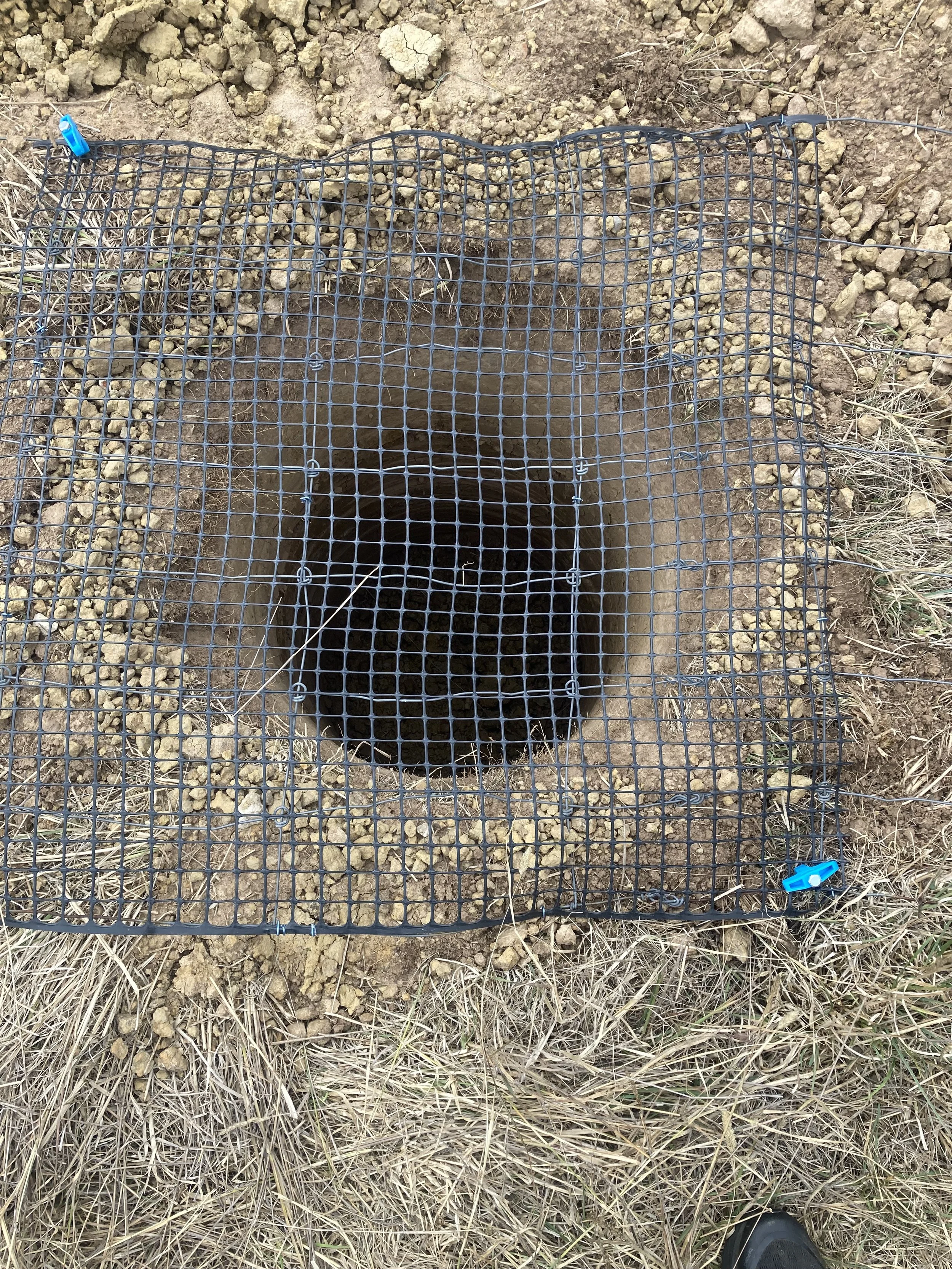 Protective cover to keep live animals out