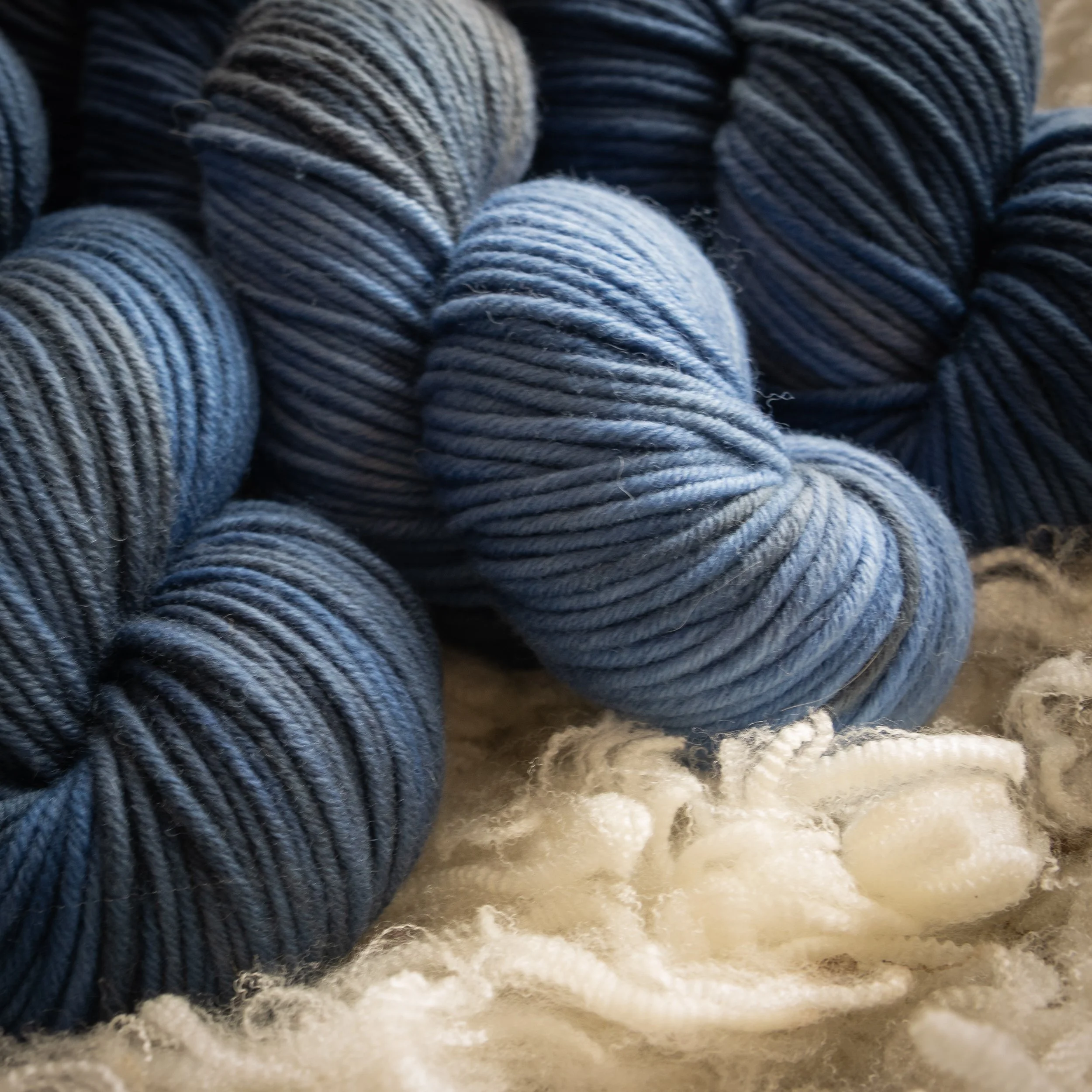 M-10-AUG-COS Cosy Evening (DSC04512) 2026 03.jpg