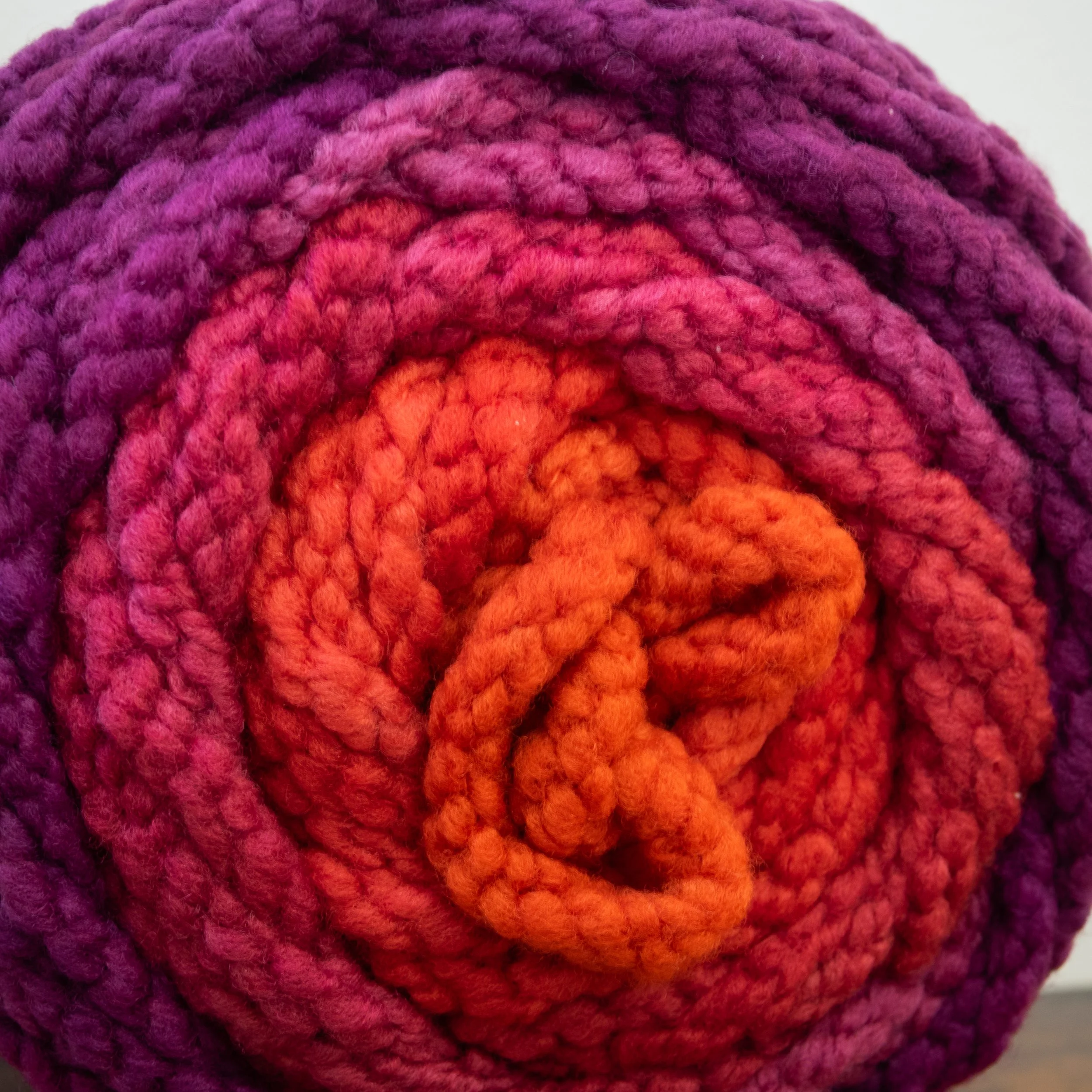 M-48-CCY-SUN Red Sundew (DSC03743) 2026 01.jpg