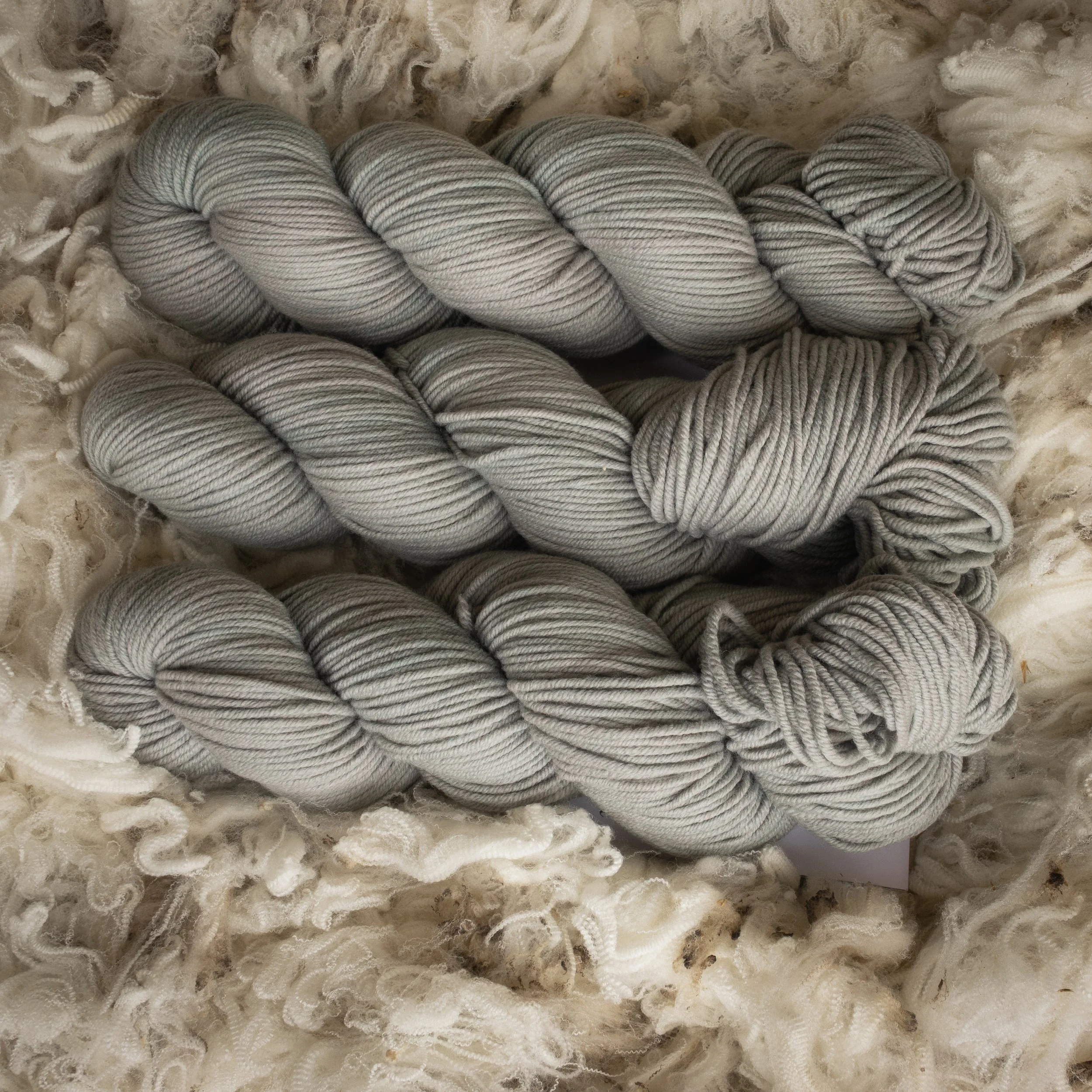 M-08-AUG-LIT Little Tree (DSC04563) 2026 03.jpg