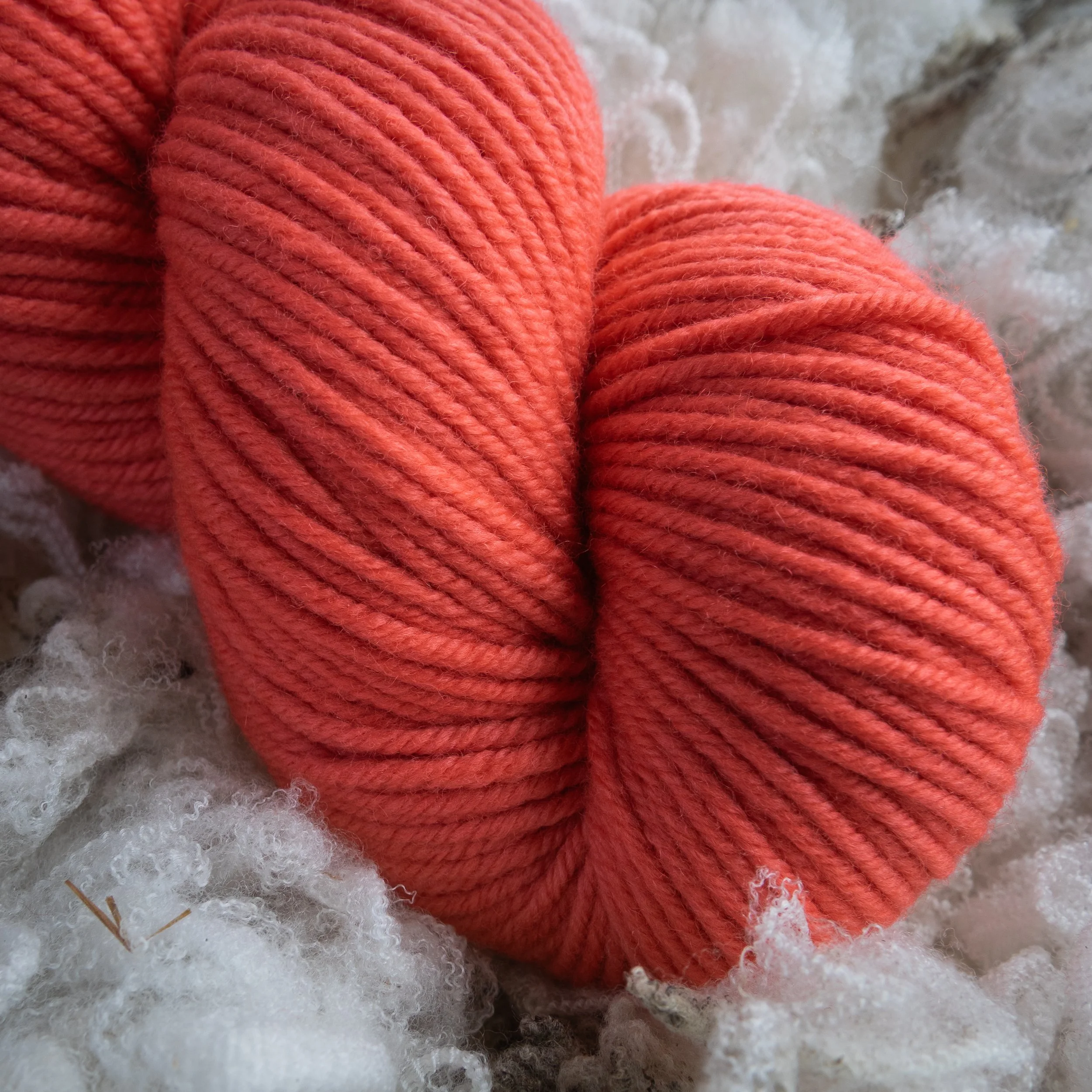 M-08-AUG-DES Desert Sunset (DSC04370) 2026 03.jpg