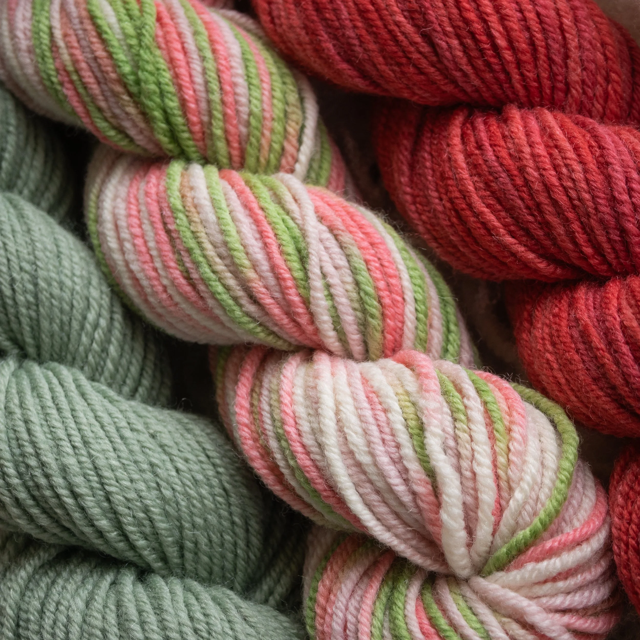 SM-05-MIN (DSC04450) 2026 03.jpg