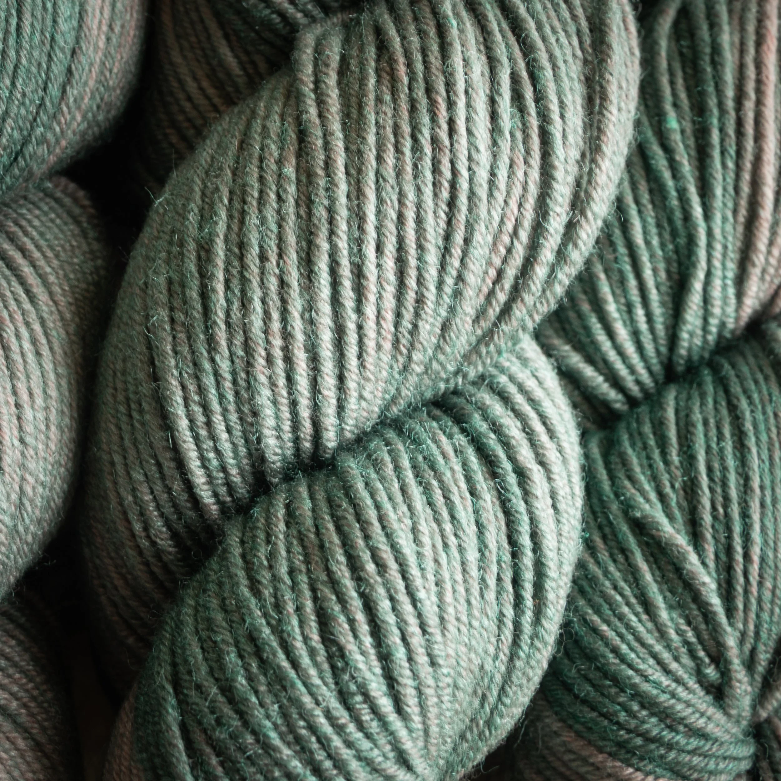 SM-05-AB-OTE Of The Earth (DSC04574)2026 03.jpg