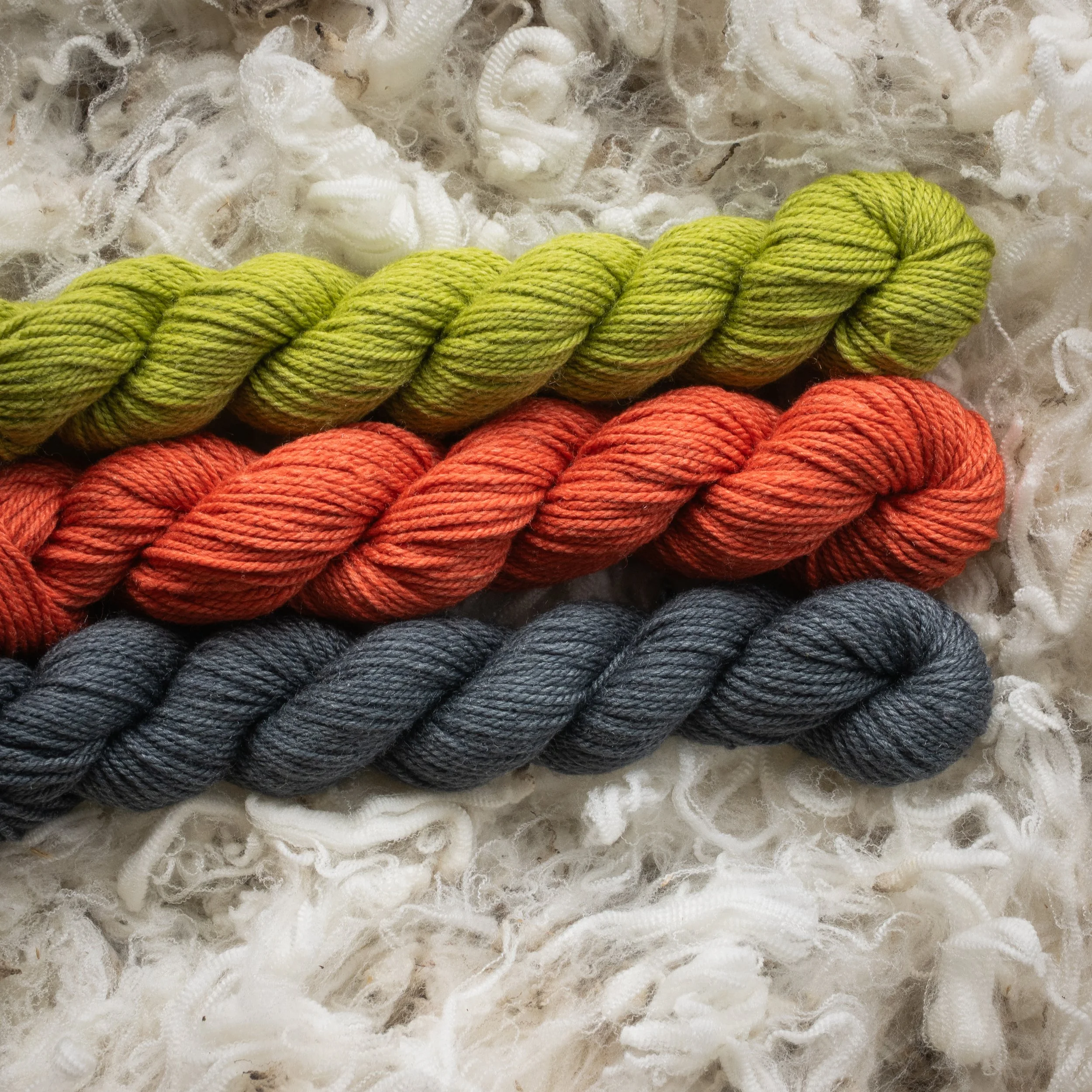 SM-05-MIN (DSC04440) 2026 03.jpg